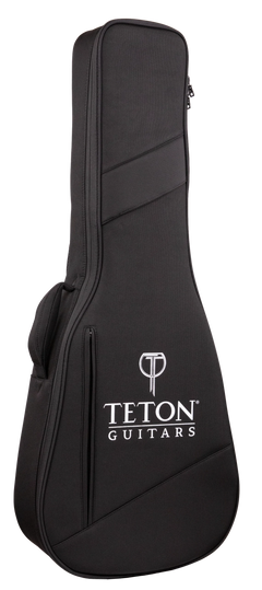 Teton Classical Gig Bag TCB100 image 0
