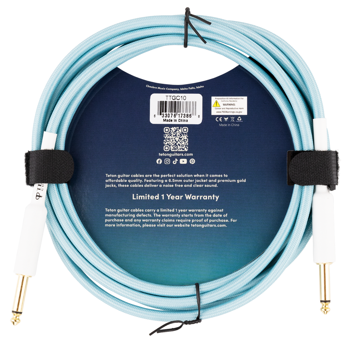 Teton Teal 10ft Guitar Cable TTGC10 image 1